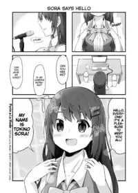 Hololive - Tokino Sora Record (Doujinshi)