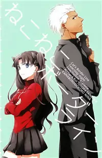 Fate/Stay Night dj - Nekoneko Borderline Poster