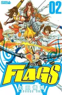 Flags Poster