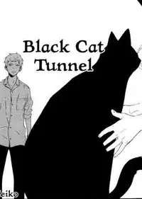 Black Cat Tunnel Poster