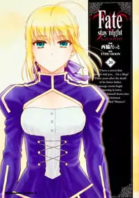 Fate/Stay Night manga