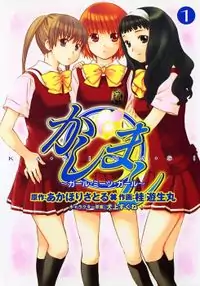 Kashimashi - Girl Meets Girl manga