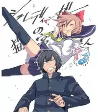 Schrodinger's Nekomiya-san Poster