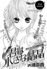 Kimi wa Chiisana Kesshou manga