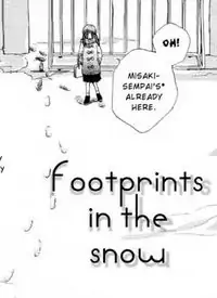 Footprints in the Snow Poster