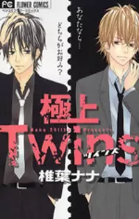 Gokujou Twins Poster
