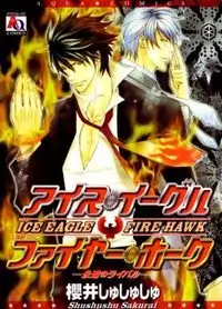Ice Eagle Fire Hawk Poster
