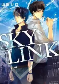Sky Link Poster