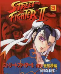 Street Fighter II Poster