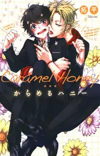 Caramel Honey Poster