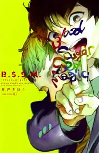 B.S.S.M. - Blood Sugar Sex Magic Poster