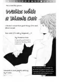 Waltz with a Black Cat Poster