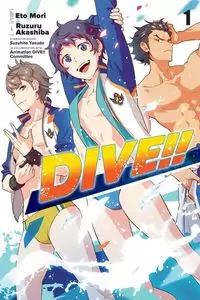 DIVE!! (AKASHIBA Ruzuru) Poster