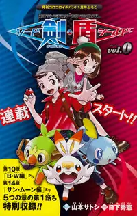 Pokemon SPECIAL Sword and Shield Poster